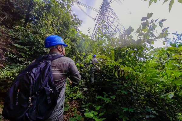 双融网 “线路医生”高温下守护三峡清洁能源“大动脉”