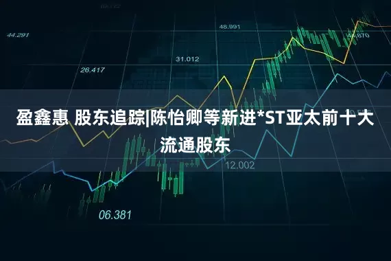 盈鑫惠 股东追踪|陈怡卿等新进*ST亚太前十大流通股东