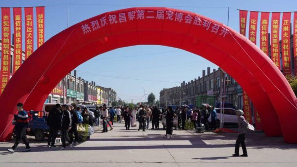 同花易配 河北昌黎举办第二届国际宠博会 推动宠物产业高质量发展