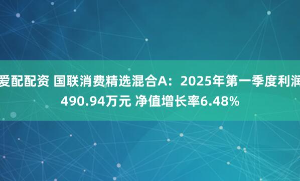 爱配配资 国联消费精选混合A：2025年第一季度利润490.94万元 净值增长率6.48%